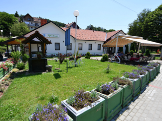 Zdravljak - Gornja Trepca